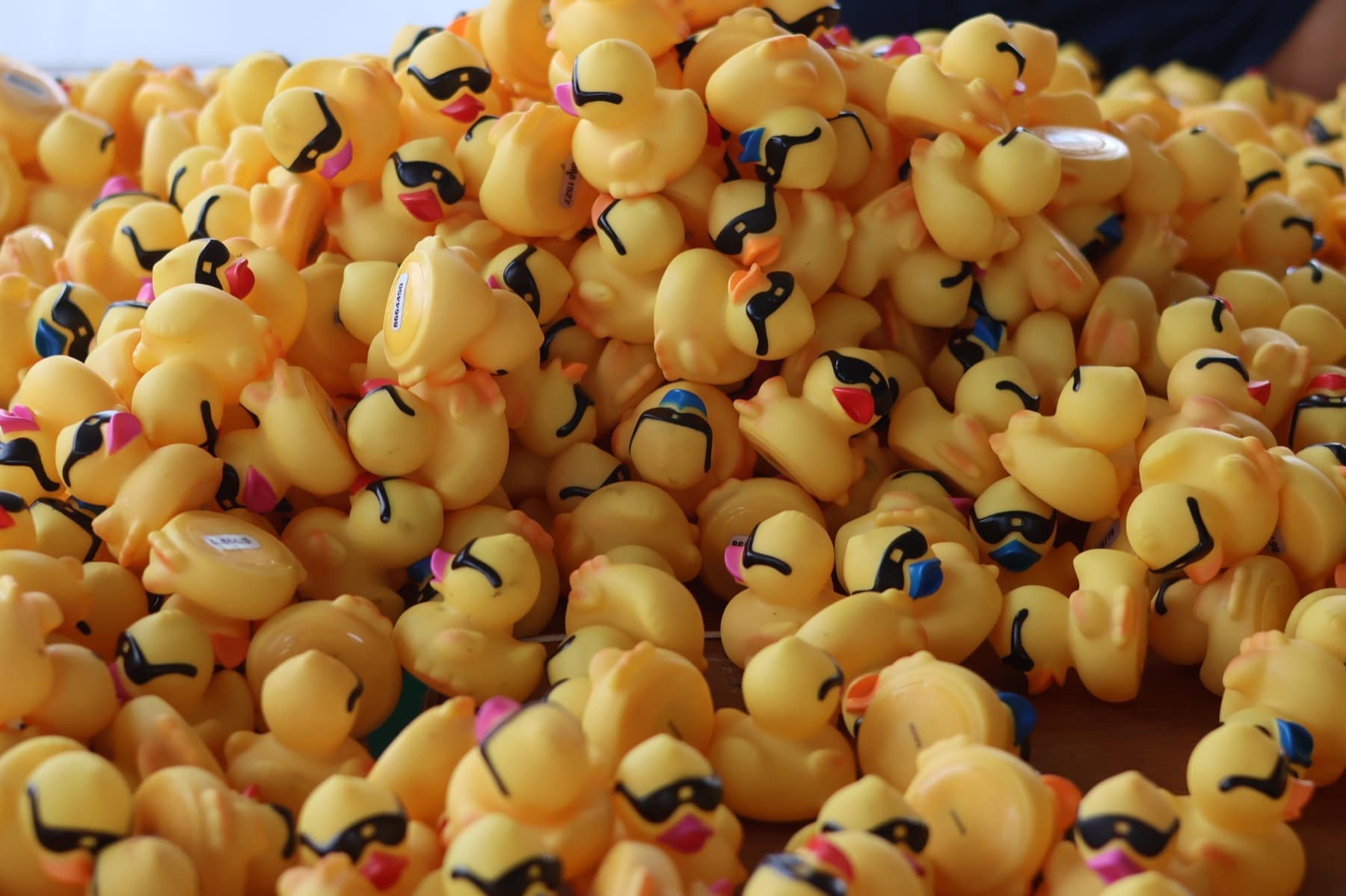 A mountain of sunglasses-wearing race ducks