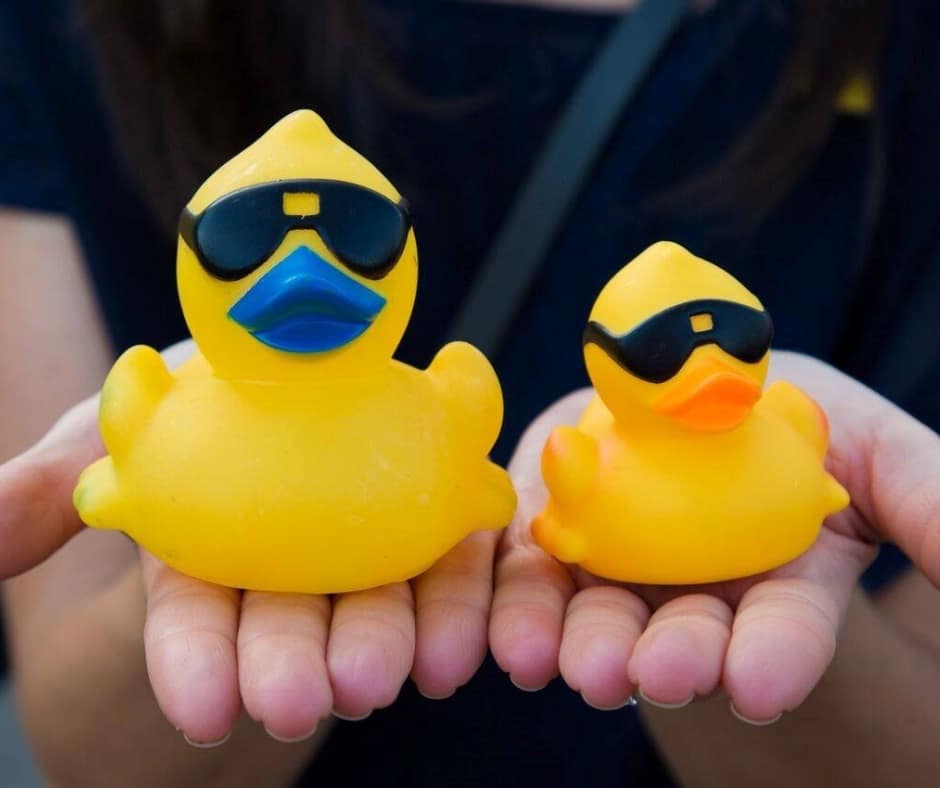 Thousands of yellow race ducks splashing into the water at the starting line
