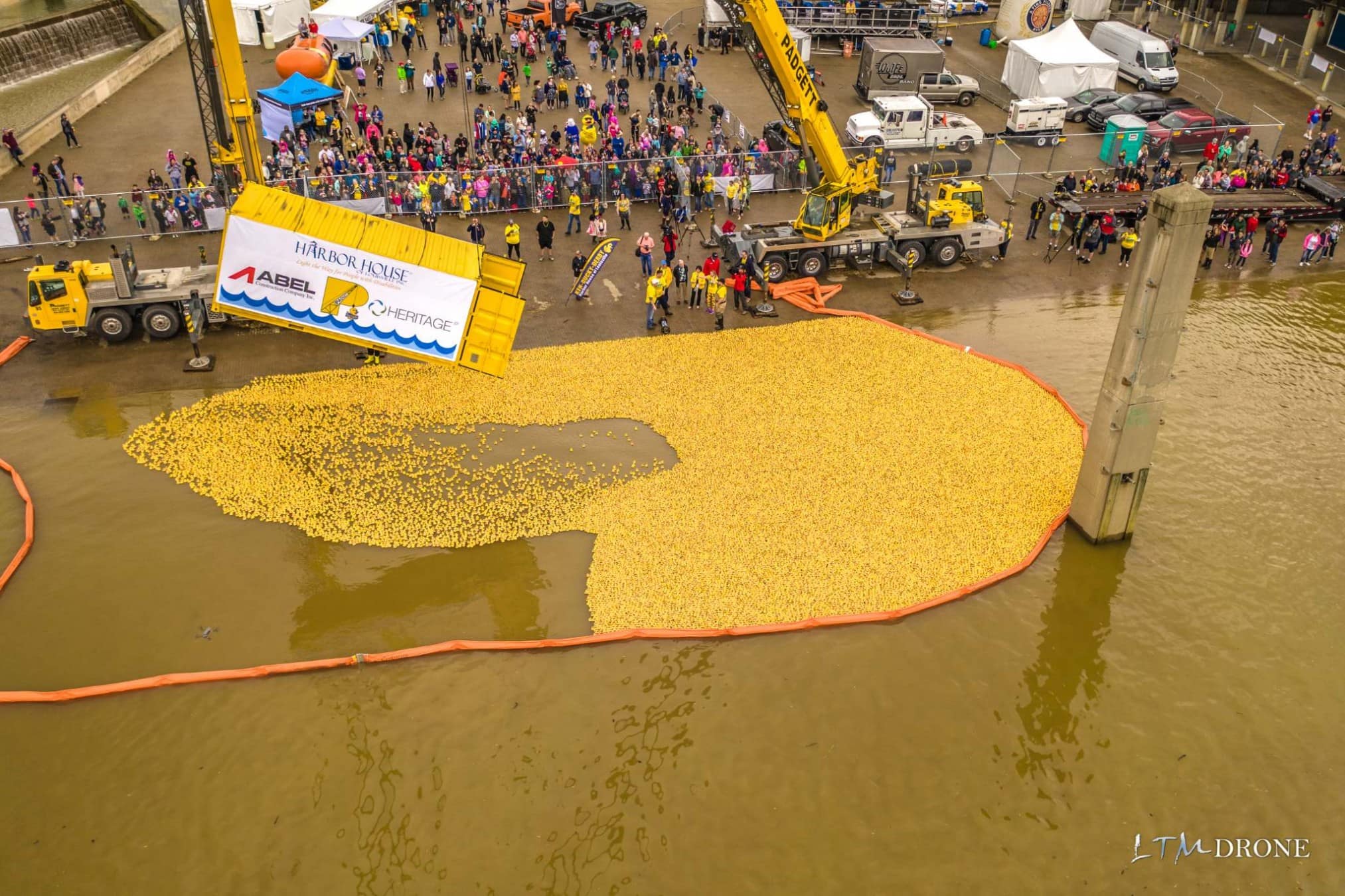 A mountain of sunglasses-wearing race ducks