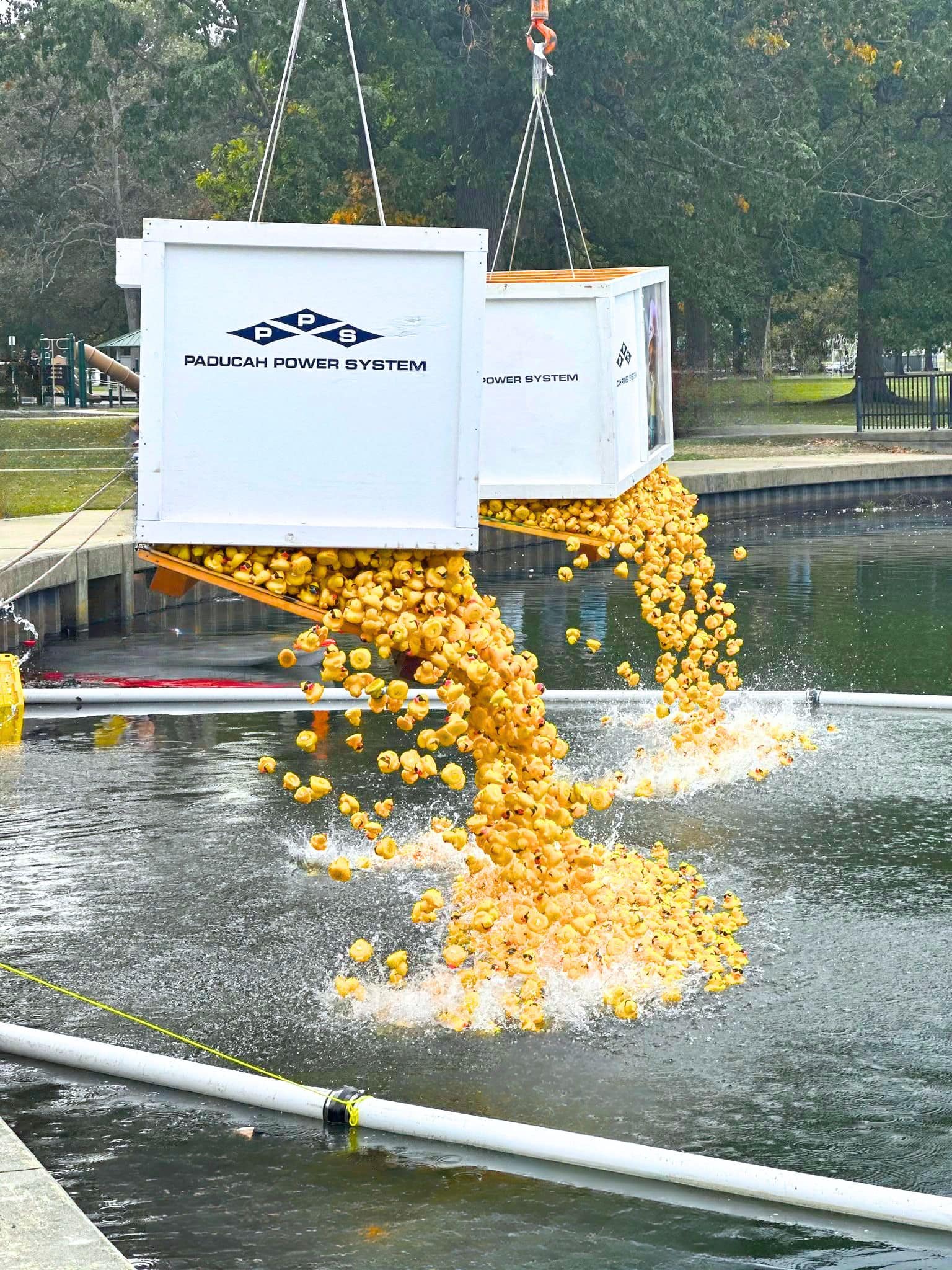 Thousands of yellow race ducks splashing into the water at the starting line