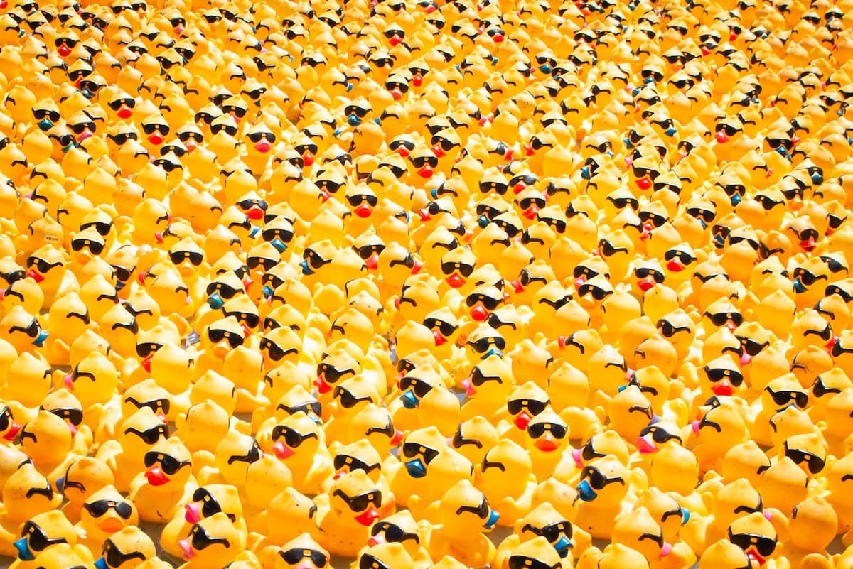 Thousands of yellow rubber race ducks packed together before the race