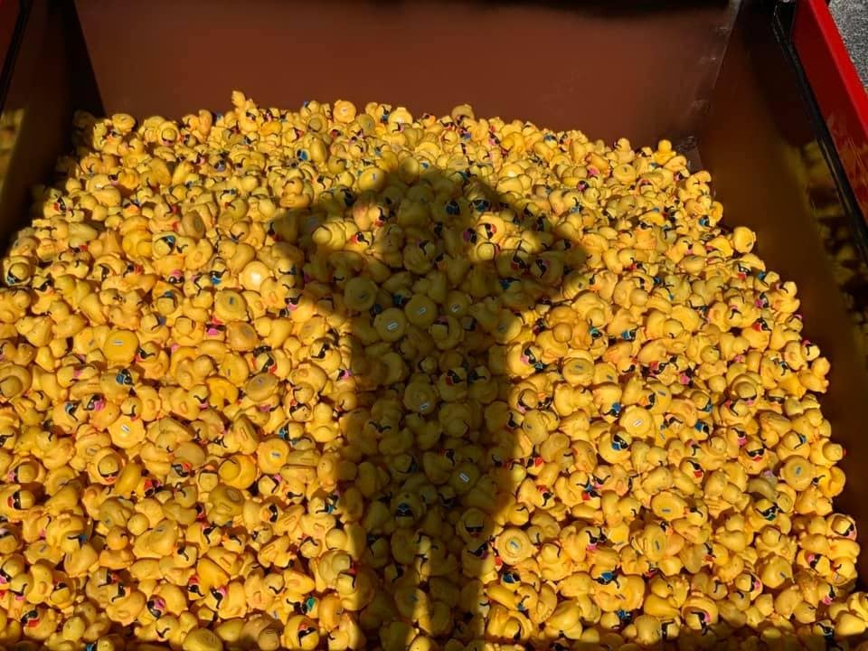 A truck bed piled high with sunglasses-wearing race ducks