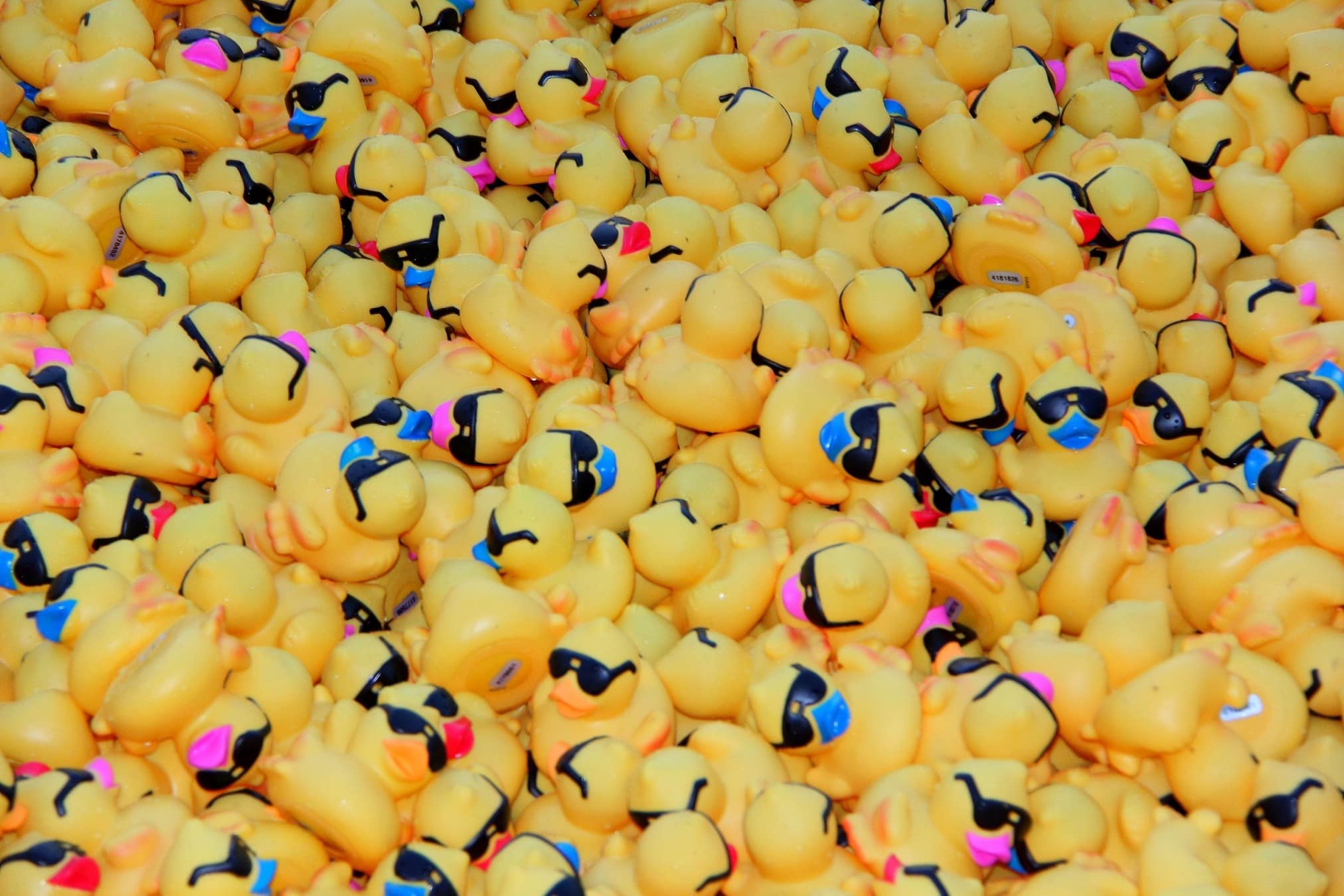 A rubber duck in sunglasses