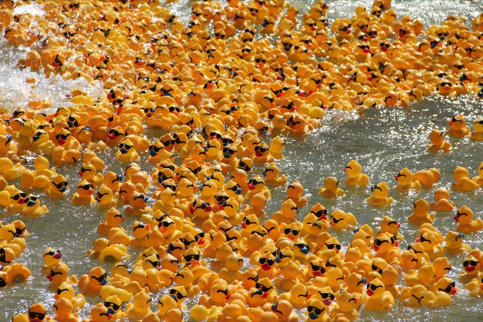 Thousands of rubber ducks floating together in the water
