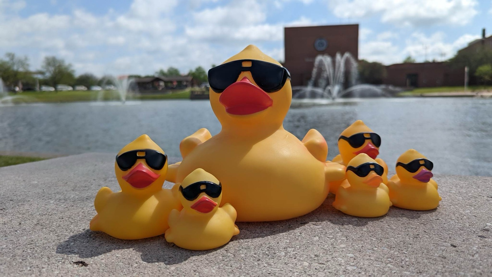 A rubber duck family lined up beside the pond