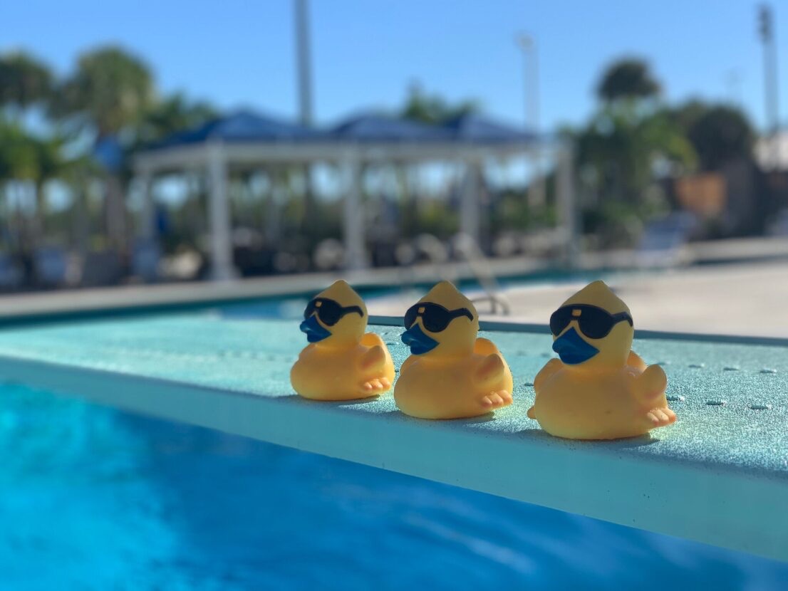 Send someone a duck